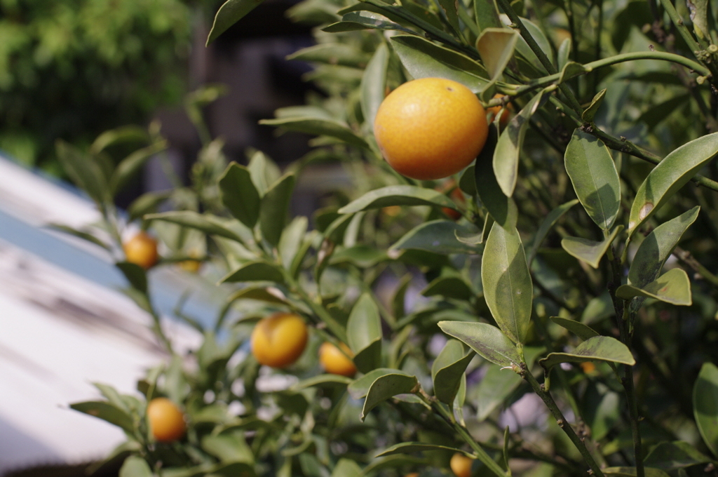 2011-052011-05-09-012