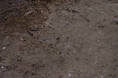2011-032011-08-07-015