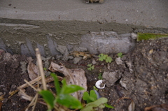 2011-102011-06-25-055