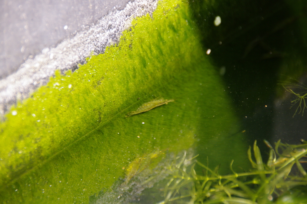 2011-062011-05-05-003