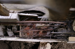 2011-072011-05-09-015