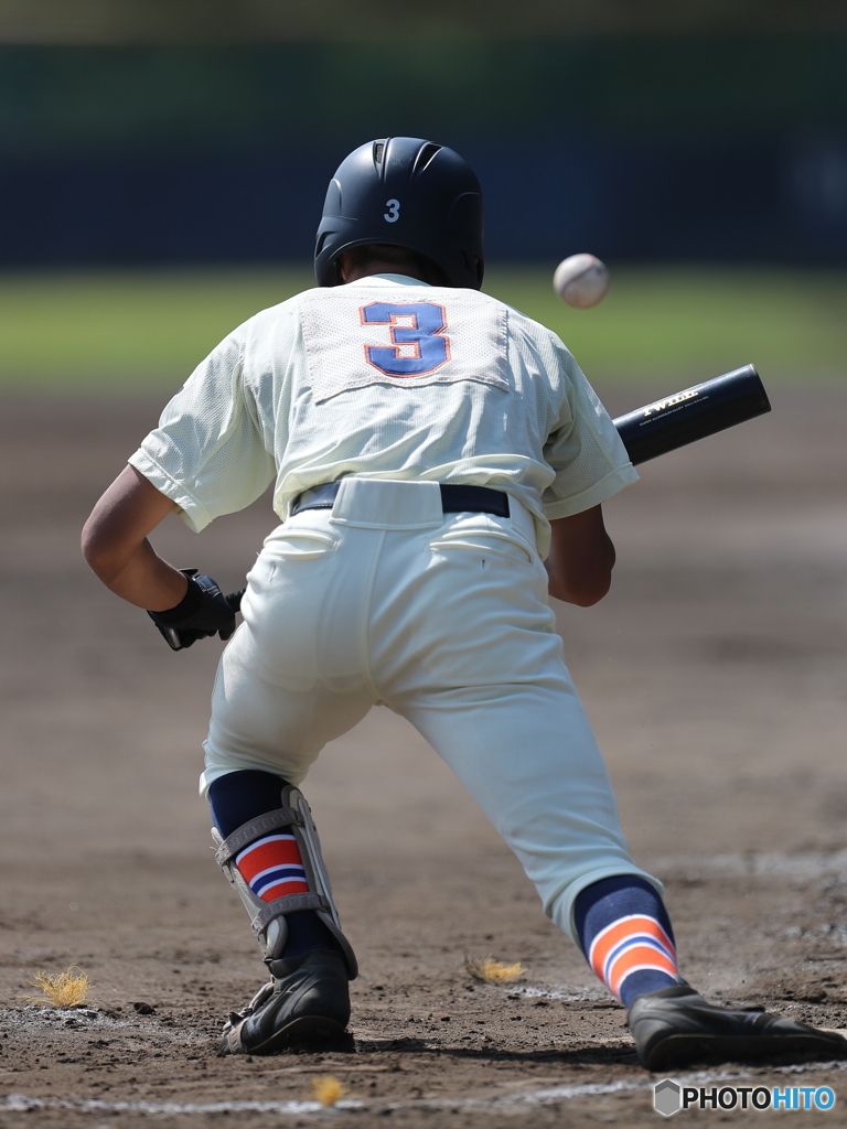 夏季新人戦