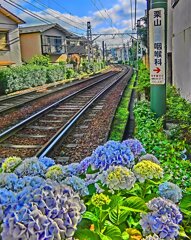 都電荒川線