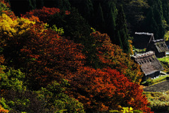 世界遺産の村