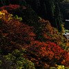 世界遺産の村