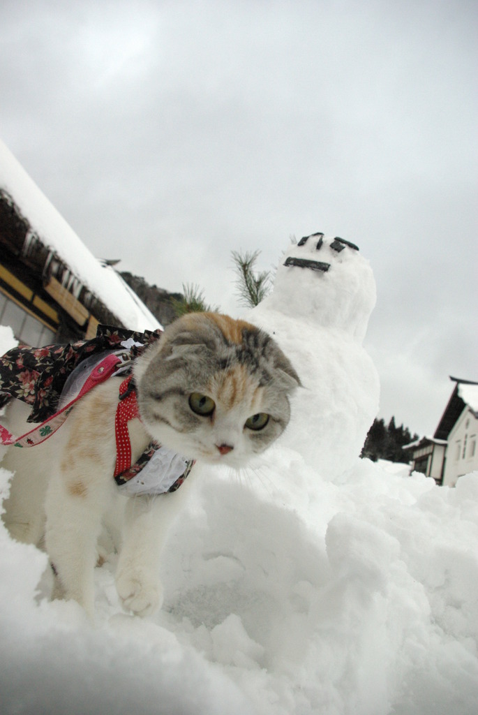 大内宿の雪だるま