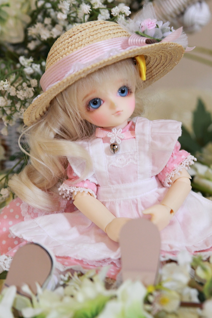 幼SD