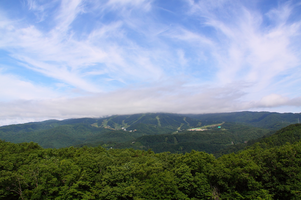 スキー場の夏