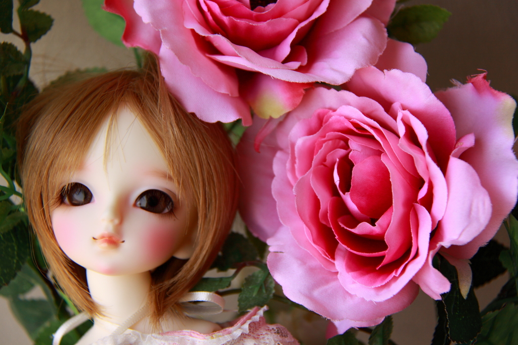MSD18番