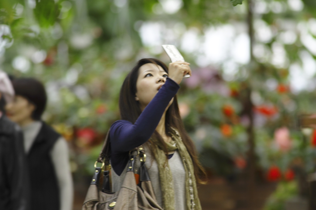 携帯カメラ女子、天上花を撮影。