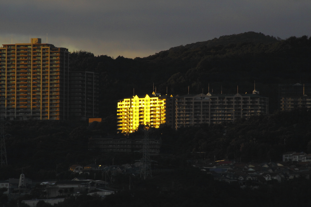 黄金のマンション