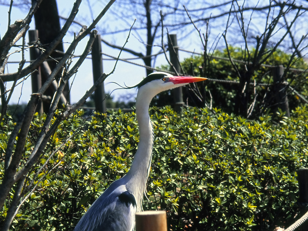 その横顔…。