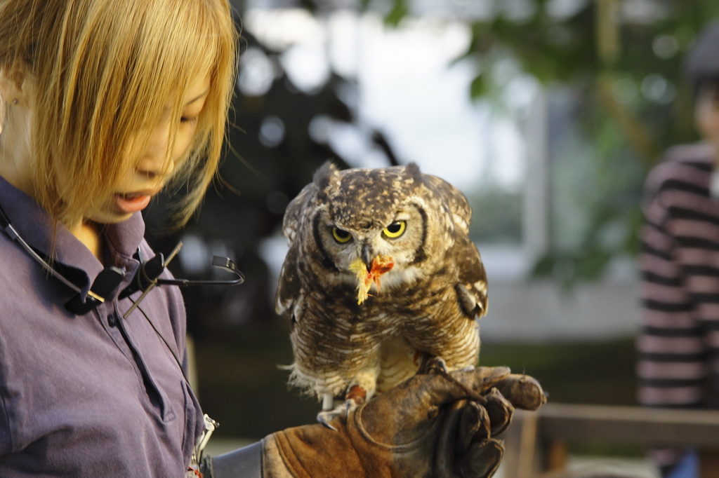 さあ、食べて！！次は最後のミッション。