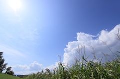 秋に見る夏のような空