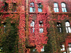秋の学舎
