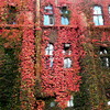 秋の学舎