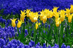 百合が原公園にて