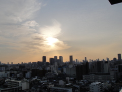 雲で出来た鳥