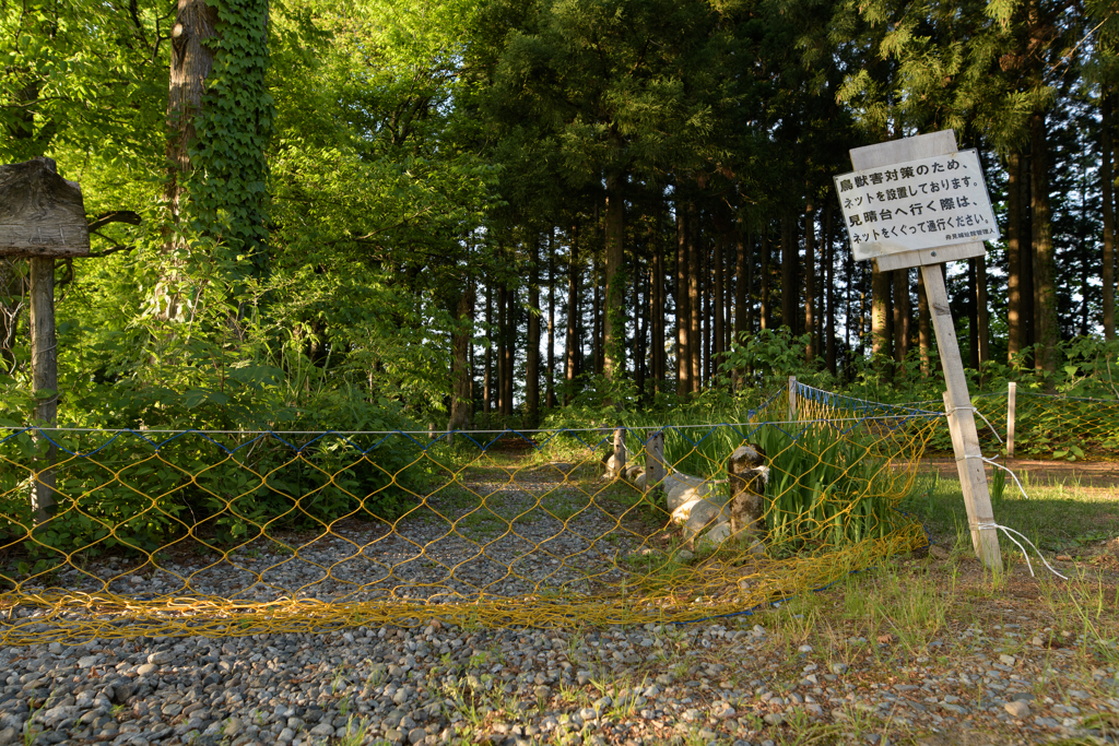 障害物競走…？