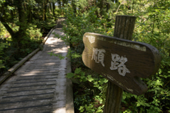 おでかけ