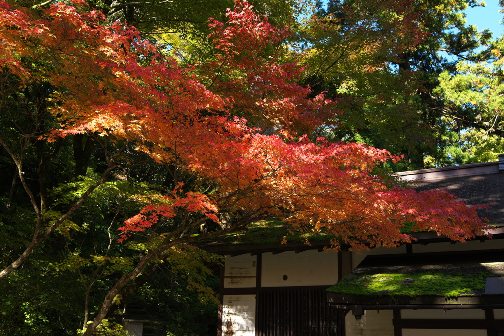 那谷寺10