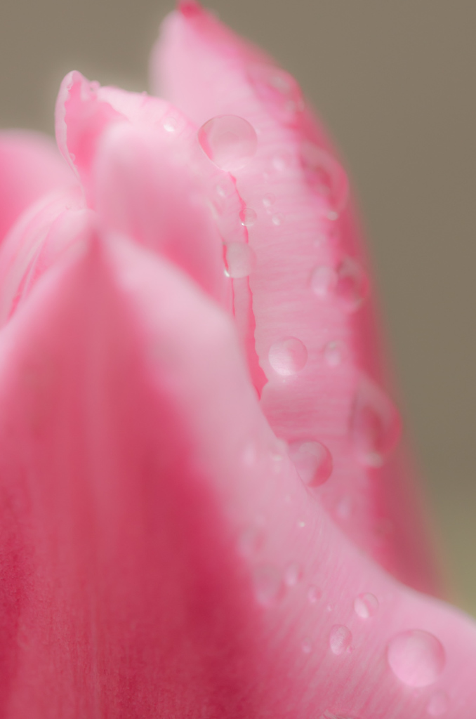 雨の飾り