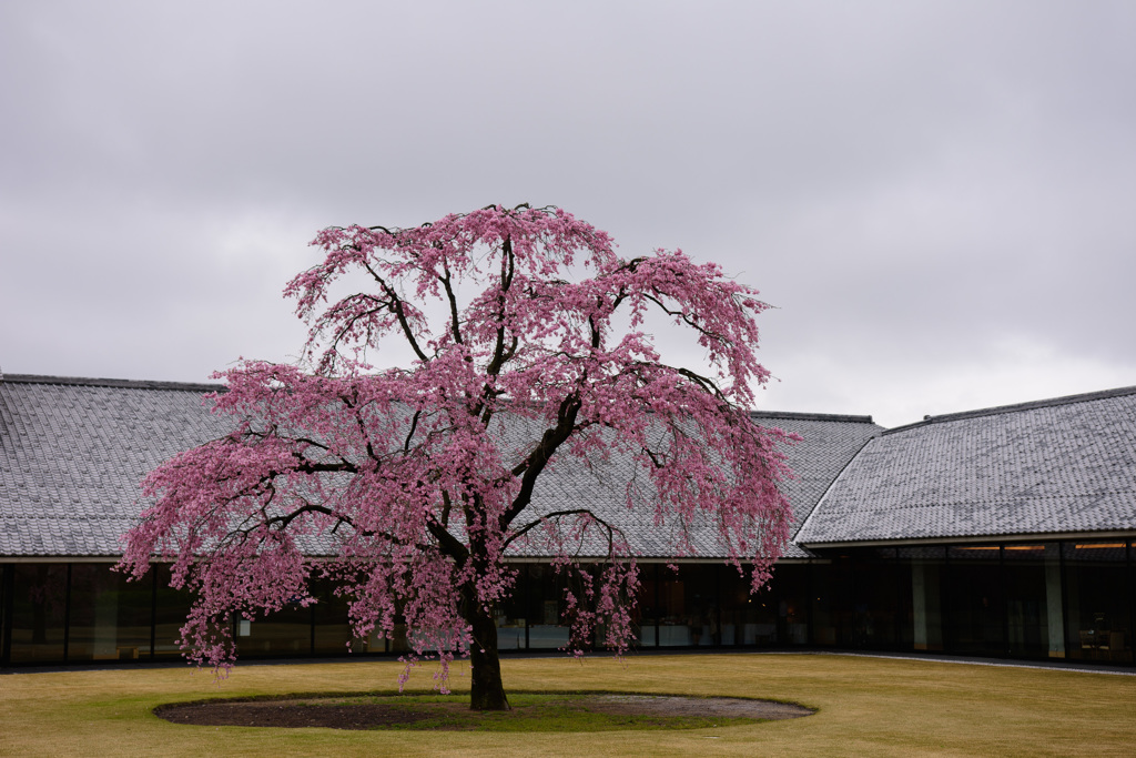 富山県水墨美術館 