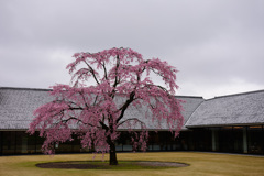 富山県水墨美術館 