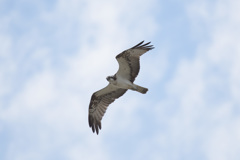チラッと青空