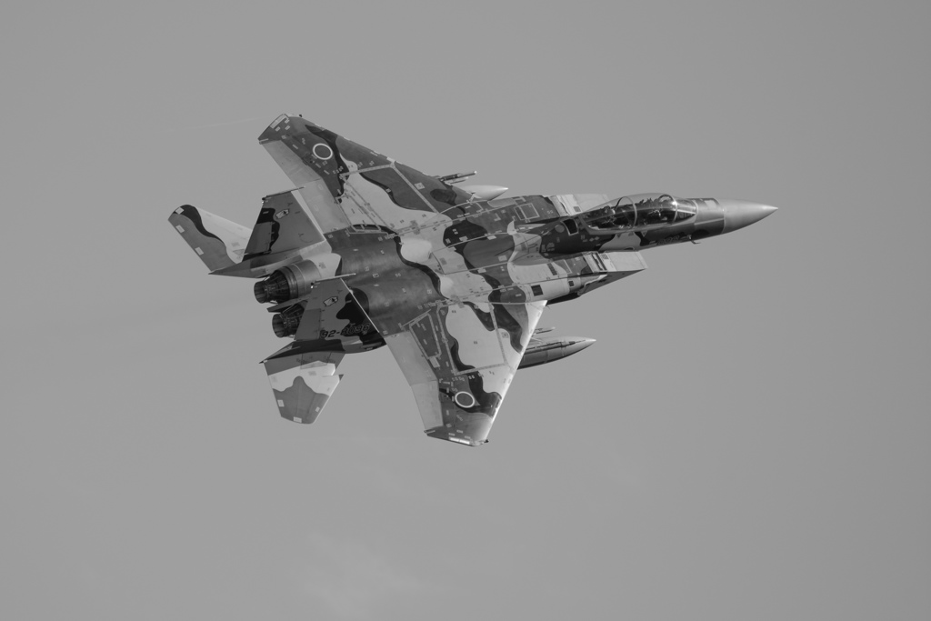 モノクロアグレス(一年前)