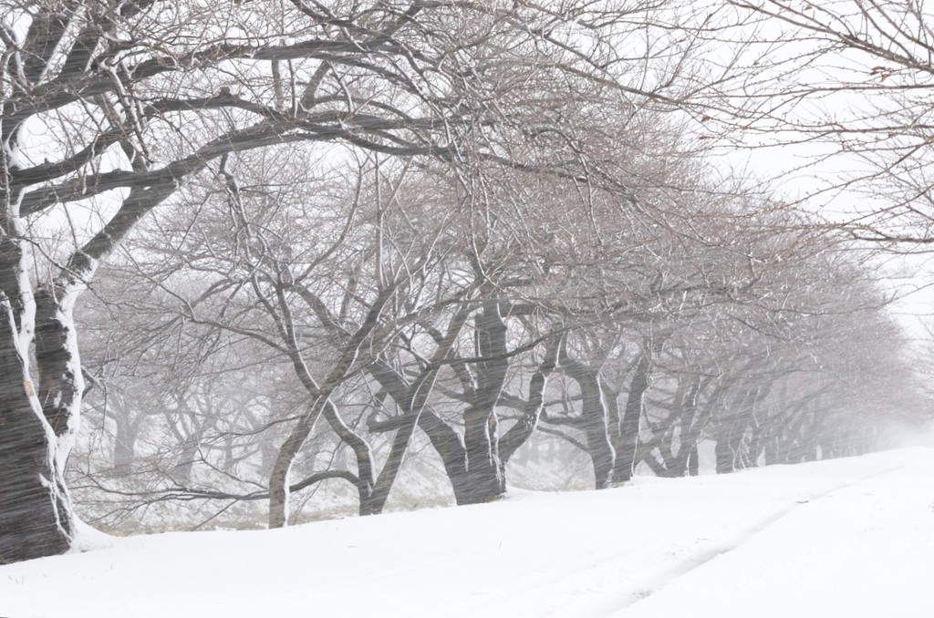 風雪