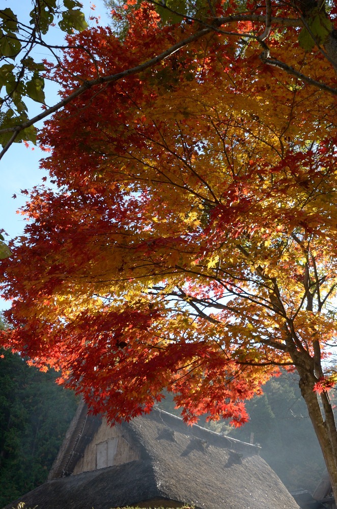飛騨の里紅葉20
