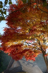 飛騨の里紅葉20