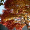 飛騨の里紅葉20