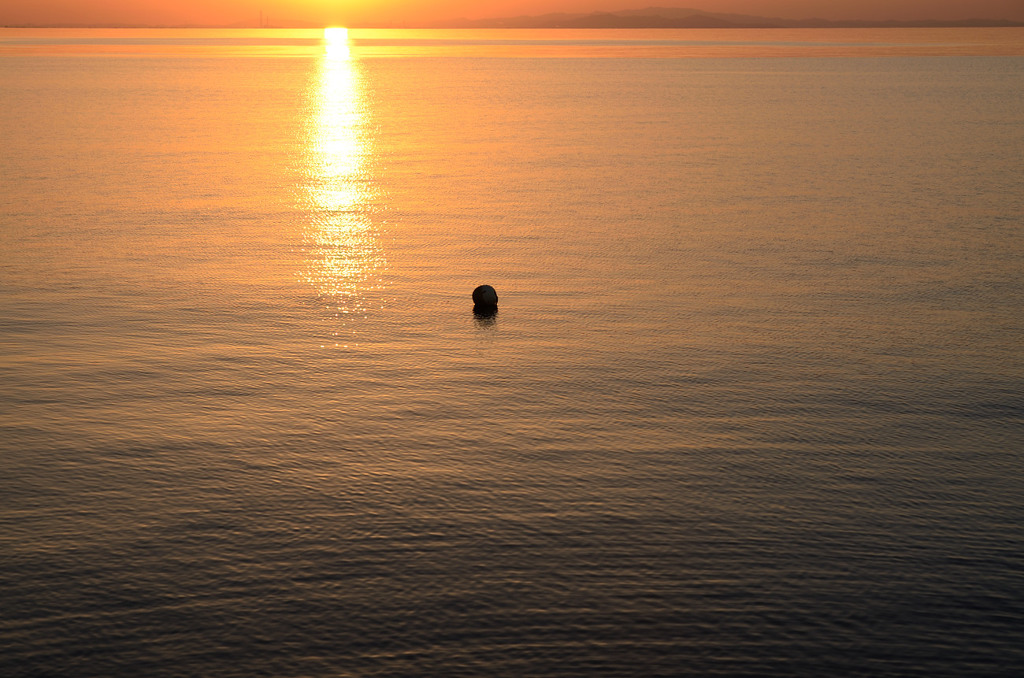 秋の夕暮1