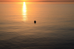 秋の夕暮1