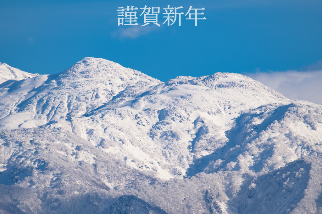 あけましておめでとうございます