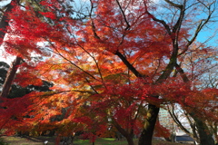 高岡古城公園7