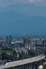 五百羅漢さんより