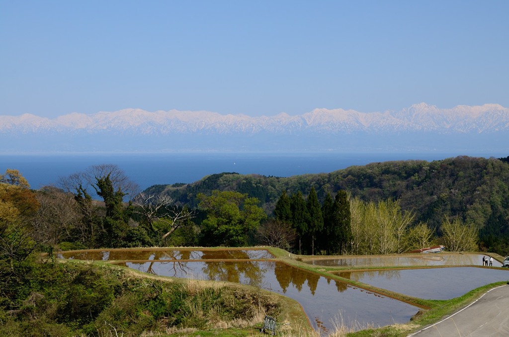 棚田と海越し立山