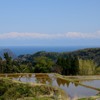 棚田と海越し立山