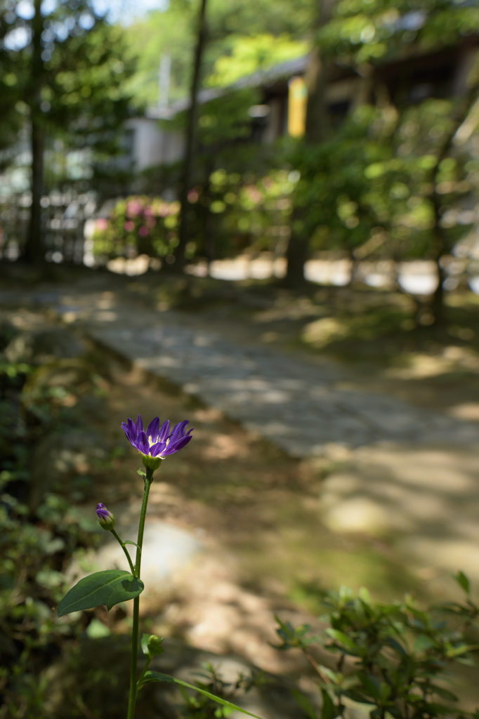 お出迎え