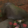 作為