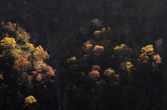 称名滝紅葉