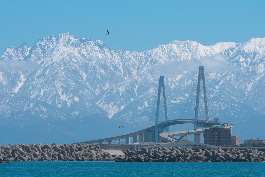 新湊大橋×立山連峰