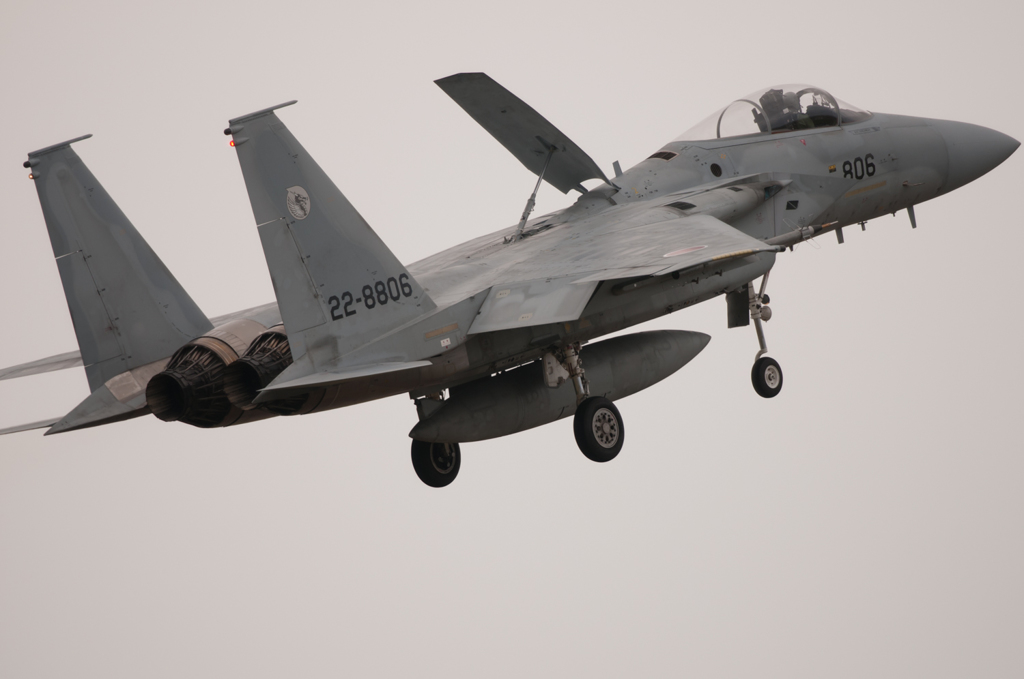 F-15 (806)