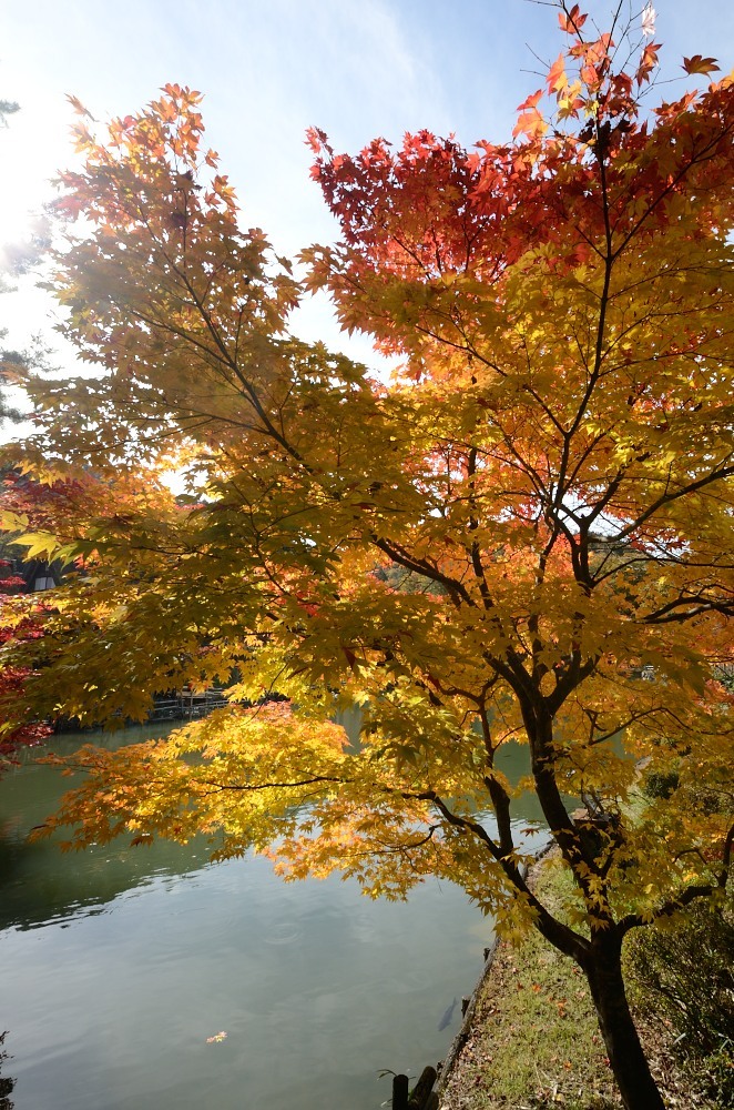 飛騨の里紅葉17