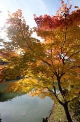 飛騨の里紅葉17