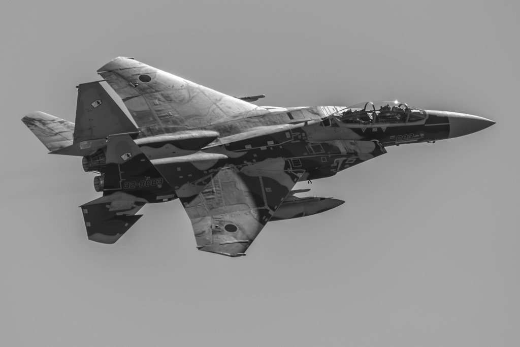 モノクロアグレス(一年前)