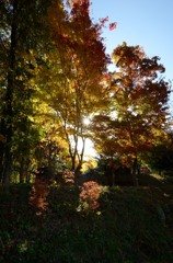 飛騨の里紅葉3